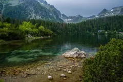 IV-doroczna-wystawa-ZTF-46