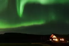 IV-doroczna-wystawa-ZTF-52