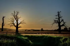 IV-doroczna-wystawa-ZTF-63