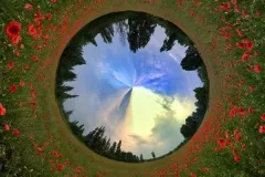 IV-doroczna-wystawa-ZTF-67