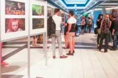 IV-doroczna-wystawa-ZTF-70