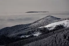 IV-doroczna-wystawa-ZTF-9