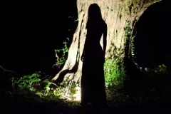 IV-doroczna-wystawa-ZTF-93