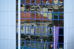 Katarzyna Żółkiewska - 800...