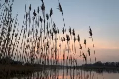 Katarzyna Żółkiewska