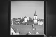 Katarzyna Żółkiewska