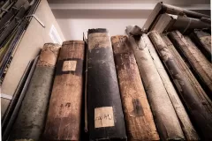 Katarzyna Żółkiewska