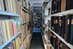 Katarzyna Żółkiewska