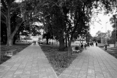 Katarzyna Żółkiewska