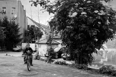 Katarzyna Żółkiewska