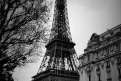 Krasowska-Cieślak Osana