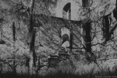 Krasowska-Cieślak Osana