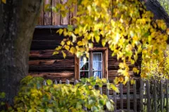 Krzysztof Modrzejewski