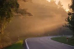 Magdalena Kowalik-Siegieda - 800...