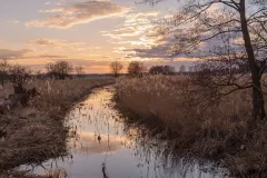 Magdalena Kowalik-Siegieda