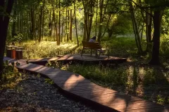 Marzena Dempska - 800...