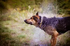 Michalkiewicz Weronika