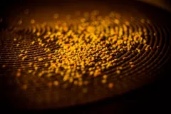 Michalkiewicz Weronika