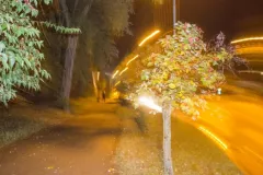 Michalkiewicz Weronika