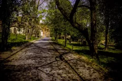 Michalkiewicz Weronika