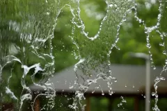 Michalkiewicz Weronika