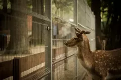 Michalkiewicz Weronika