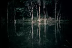 Michalkiewicz Weronika