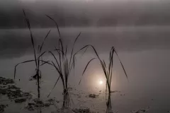 Modrzejewski Krzysztof