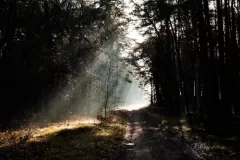 Modrzejewski Krzysztof