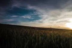 Modrzejewski Krzysztof