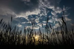 Modrzejewski Krzysztof