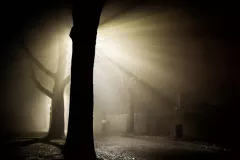 Modrzejewski Krzysztof