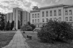 Osana Krasowska-Cieślak