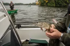 fot-Malgorzata-Chomont-24