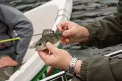 fot-Malgorzata-Chomont-31