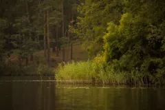 fot-Malgorzata-Chomont-41