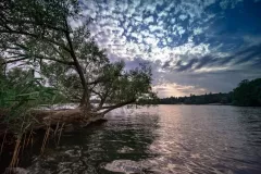 JEZIORA-LUBUSKIE-2018-28