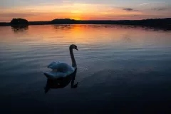 JEZIORA-LUBUSKIE-2018-44