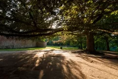 JEZIORA-LUBUSKIE-2018-45