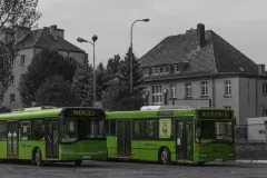 II ZIELONOGÓRSKI PHOTO WALK