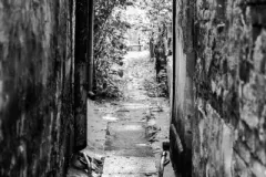 Krzysztof-Modrzejewski