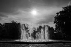 street-photo-walk-2018-22