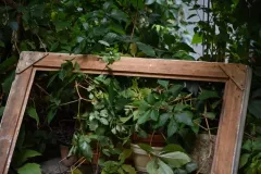 street-photo-walk-2018-25