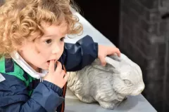 street-photo-walk-2018-27