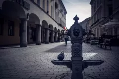 street-photo-walk-2018-4