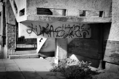 street-photo-walk-2018-5