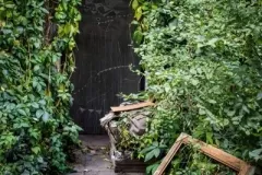 street-photo-walk-2018-9