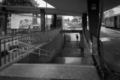 street-photo-walk-2019-1