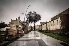 street-photo-walk-2019-14