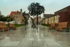 street-photo-walk-2019-16